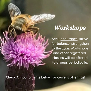 Working bumble bee photo- Endurance/Balance/Core workshop details 